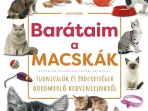 Barátaim, a macskák