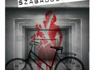 Szabadulószoba - A K. É. Z. második esete