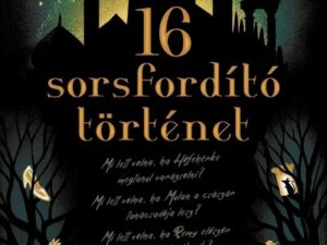 16 Sorsfordító történet - Disney - Sorsfordító történetek (éldekorált)