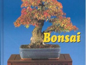 Bonsai