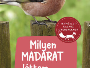 Milyen madarat láttam a kertben? - 85 madárfaj a ház körül - Természetkalauz gyerekeknek