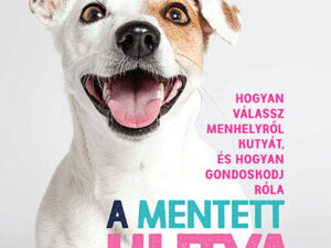 A mentett kutya