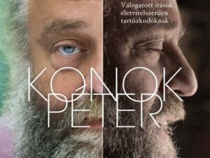 Hol itt fájt, hol ott fájt - Válogatott írások életvitelszerűen tartózkodóknak