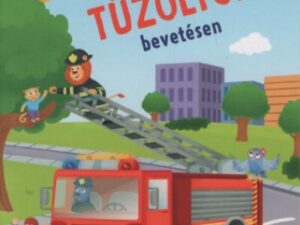 Tűzoltók bevetésen - Minikönyv