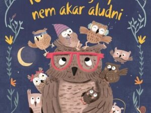 10 kicsi bagoly nem akar aludni