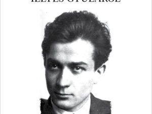 Nemzet és baloldal - Illyés Gyuláról - Magyar esszék sorozat